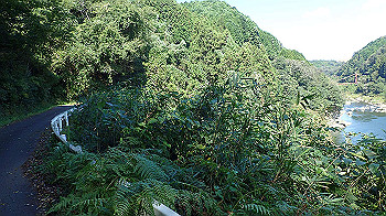 p9290351_thumb.jpg