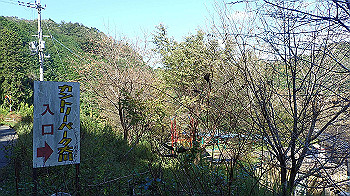 p9290352_thumb.jpg