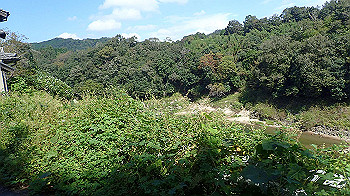 p9290365_thumb.jpg