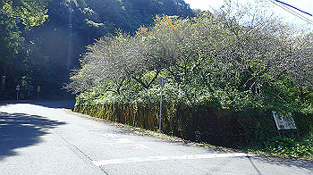 p9290385_thumb.jpg
