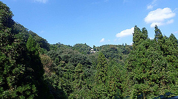 p9290392_thumb.jpg