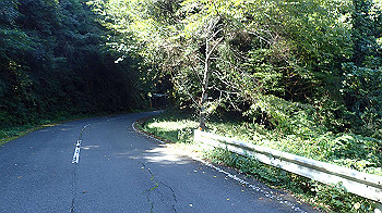p9290393_thumb.jpg