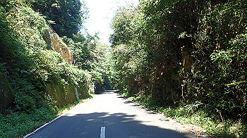 p9290395_thumb.jpg