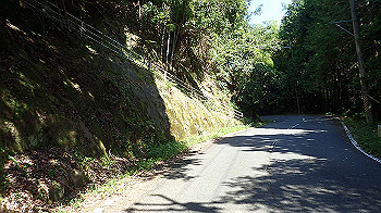 p9290402_thumb.jpg