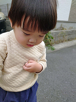 2021-11-18_11-27-47_000_thumb.jpg