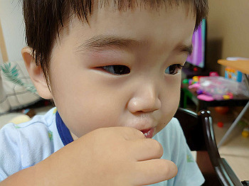 dsc_4595_thumb.jpg