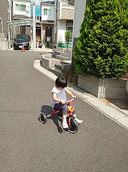 dsc_4601_thumb.jpg