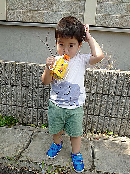 dsc_4610_thumb.jpg