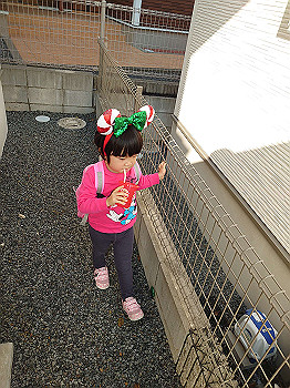 dsc_4685_thumb.jpg
