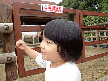 dsc_4696_thumb.jpg