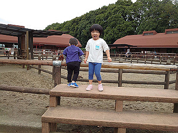dsc_4712_thumb.jpg