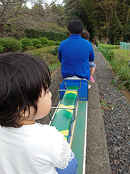 dsc_4737_thumb.jpg