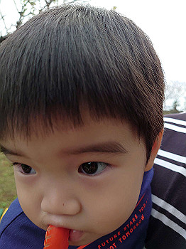 dsc_4773_thumb.jpg