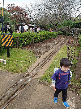 dsc_4781_thumb.jpg