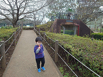 dsc_4783_thumb.jpg