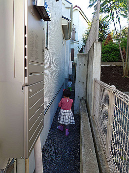 dsc_4869_thumb.jpg