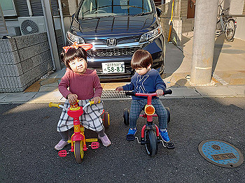 dsc_4906_thumb.jpg