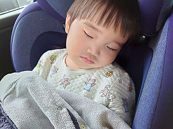dsc_4992_thumb.jpg
