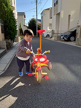 dsc_5031_thumb.jpg