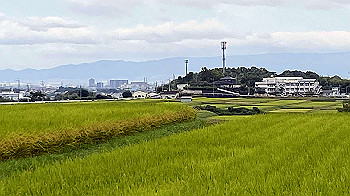 20210930_234009255_ios_thumb.jpg