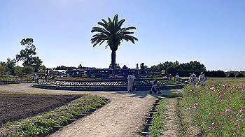 20211003_054220710_ios_thumb.jpg