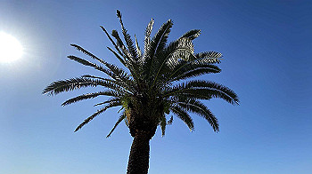 20211003_054402327_ios_thumb.jpg