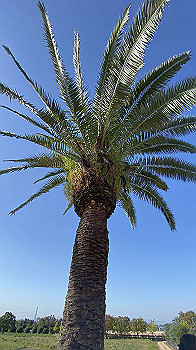 20211003_054412646_ios_thumb.jpg
