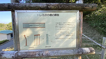 20211006_233352460_ios_thumb.jpg
