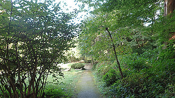 pa090525_thumb.jpg