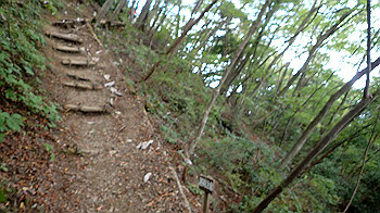 pa090542_thumb.jpg