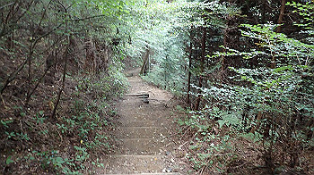pa090567_thumb.jpg