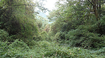 pa090570_thumb.jpg