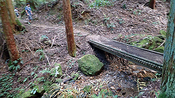 pa090589_thumb.jpg