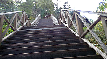 pa090598_thumb.jpg