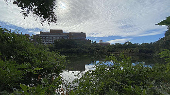 20211010_235340405_ios_thumb.jpg