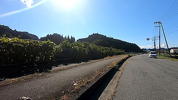 gx013708.mp4_snapshot_00.27_thumb.jpg