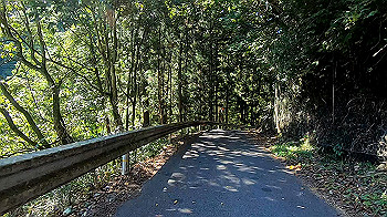 gx013719.mp4_snapshot_00.29_thumb.jpg