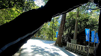 gx013722.mp4_snapshot_02.25_thumb.jpg