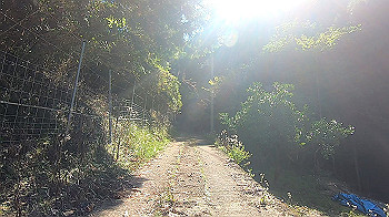 gx013732.mp4_snapshot_02.56_thumb.jpg