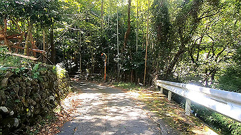 gx013732.mp4_snapshot_03.52_thumb.jpg