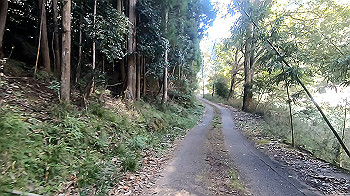 gx013732.mp4_snapshot_04.20_thumb.jpg