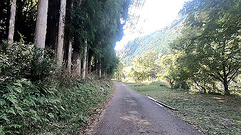 gx013732.mp4_snapshot_04.30_thumb.jpg