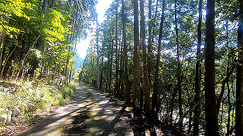 gx013733.mp4_snapshot_00.38_thumb.jpg