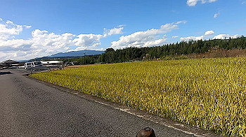 gx013745.mp4_snapshot_05.18_thumb.jpg
