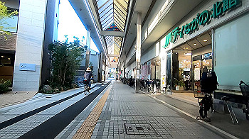 gx013772.mp4_snapshot_00.01_thumb.jpg