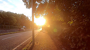 gx013775.mp4_snapshot_08.12_thumb.jpg