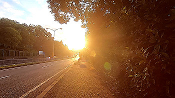 gx013775.mp4_snapshot_08.13_thumb.jpg
