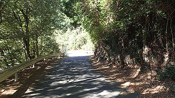 pa140631_thumb.jpg