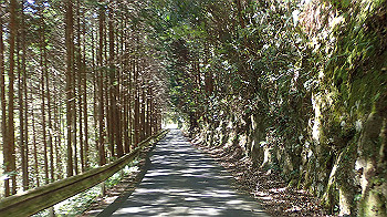 pa140643_thumb.jpg