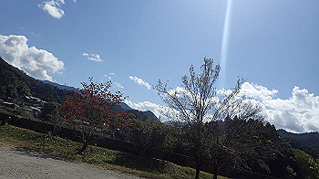 pa140724_thumb.jpg